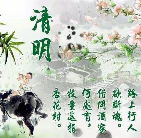 🍀“春雨润于心，清明融于情”🍀——大一班