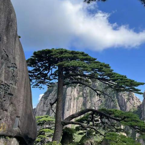 登黄山