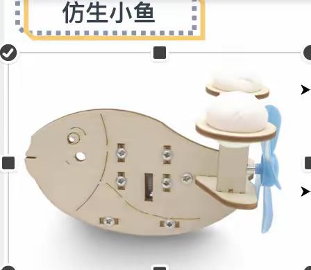第二课：仿生鱼
