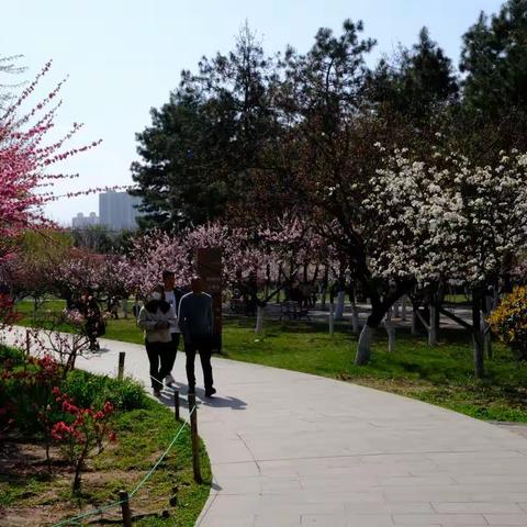 宝鸡植物园，百花齐放