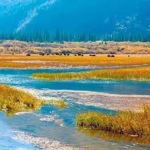 秋天的最后一次回眸