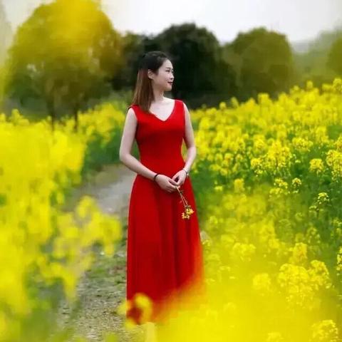 醉是艺术享受：《浔龙河之歌》