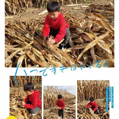 多彩假期   实践长才干———靖边县第六小学二（14）班实践活动