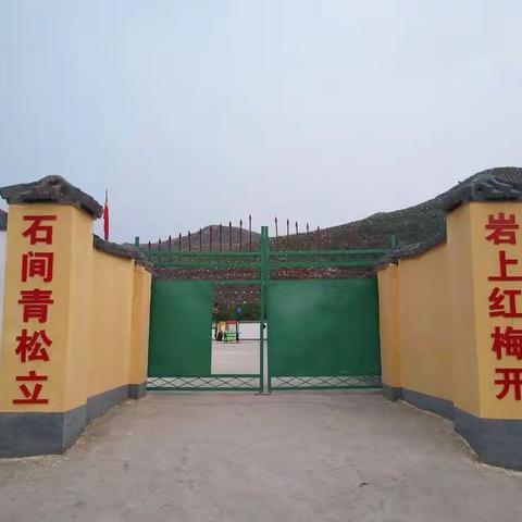 一只丑小鸭的全新蜕变