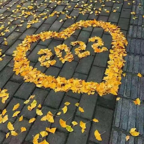 浑源县退役军人事务局奋战抗疫一线