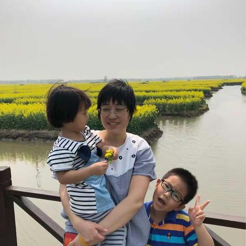 油菜花2