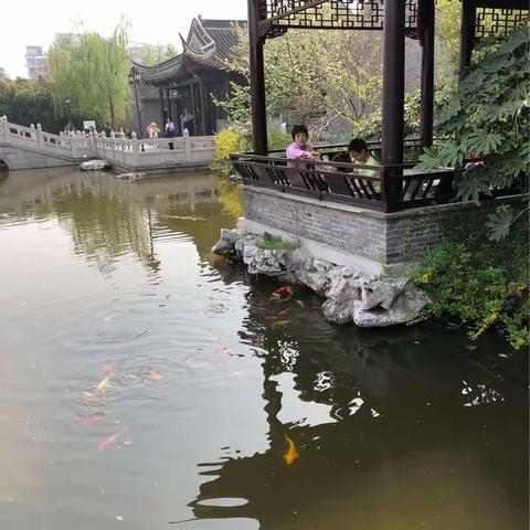 梅园午餐夜市