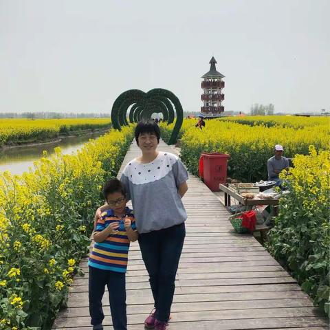 油菜花3