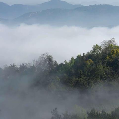 中央山公园，