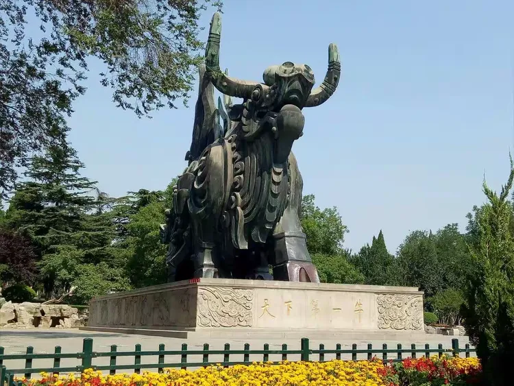 天下第一牛看它花起花落荷花