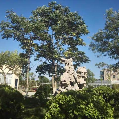 带着累累硕果向新目标出发