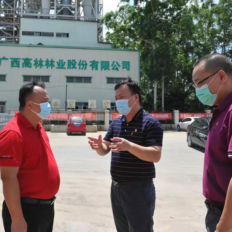 送政策促发展——玉林市税务局纪检组长周团胜一行深入广西高林林业股份有限公司走访调研