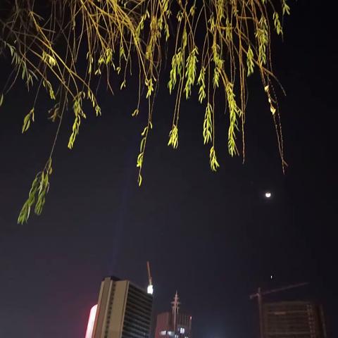 月柔还乡