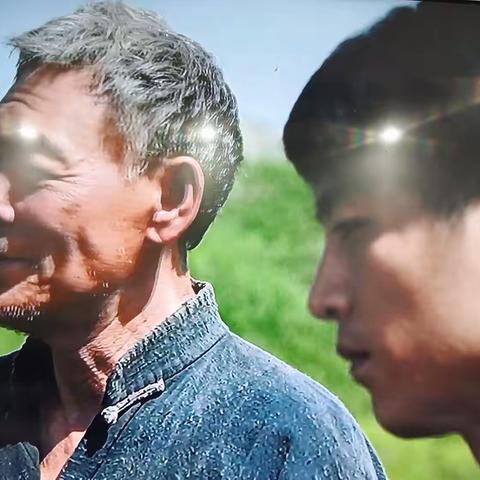 人生感悟