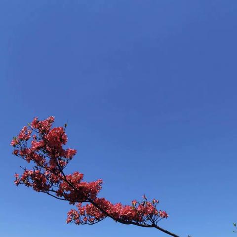 风蚀年华，情愈浓