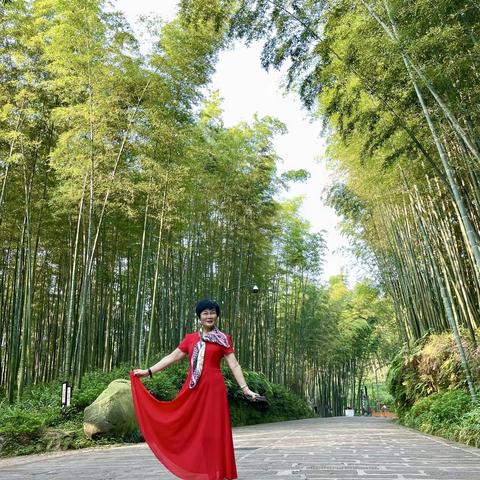 避暑.蜀南竹海（中）（翡翠长廊-龙吟寺-七彩飞瀑）（20220704-06）