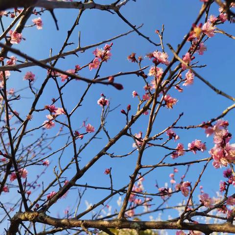 2021年3月睦邻太阳村音乐组活动花絮