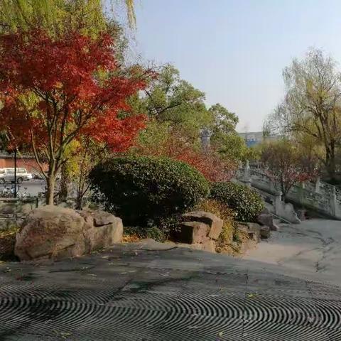 府山公园风景