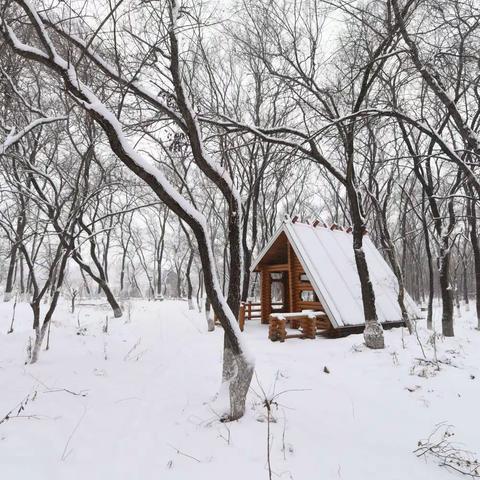 最美的雪，下在黑河