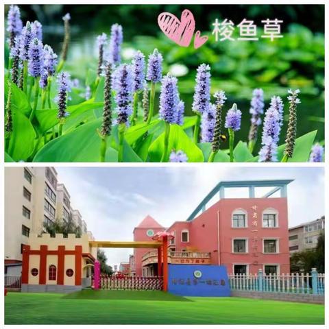 爱的陪伴，健康成长——靖远县第一幼儿园活动推送