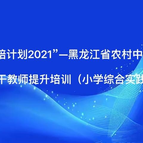 专家引领 砥砺前行——“国培计划2021”黑龙江省农村中小学骨干教师提升培训（小学综合实践）活动