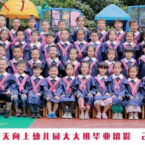 天天向上幼儿园大大班第二学期所学内容及评定