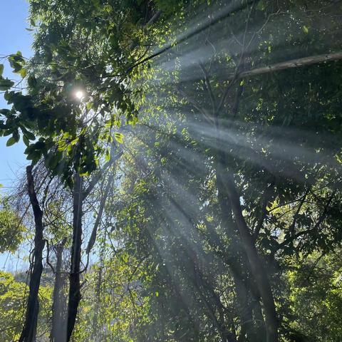 阳光正好，冬风不燥，一起“趣”冬游。——曙光小学五（5）班冬游活动