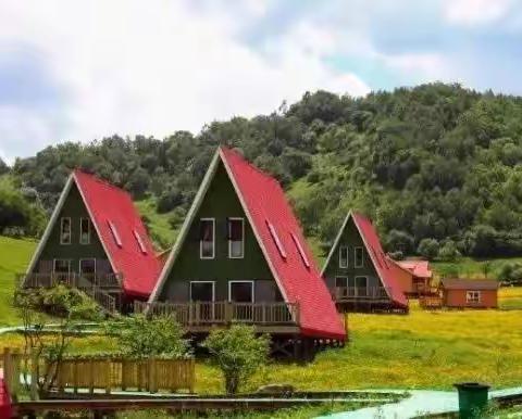 我和你的草原之约