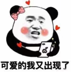 暑假作业