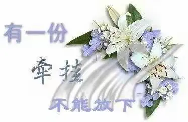 《🌺🍀牵挂🌺🍀》