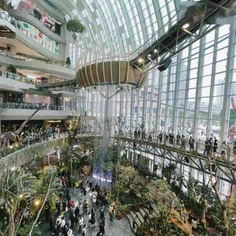 民盟重庆江北蜀都支部活动记录2021/6/24/