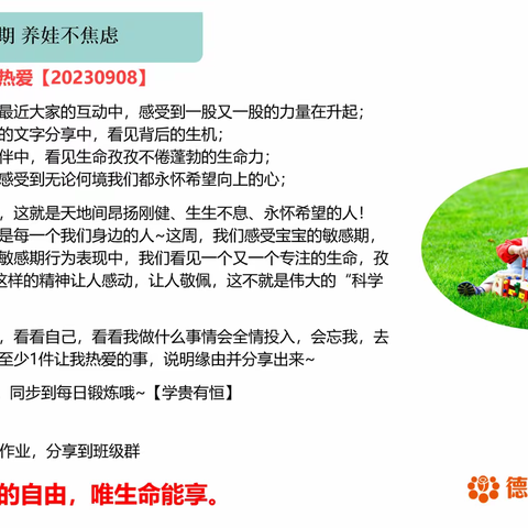 看见我的热爱0908