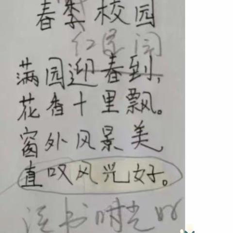 小魔仙的美篇