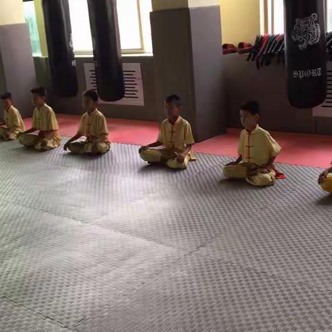 武道武术火爆招生