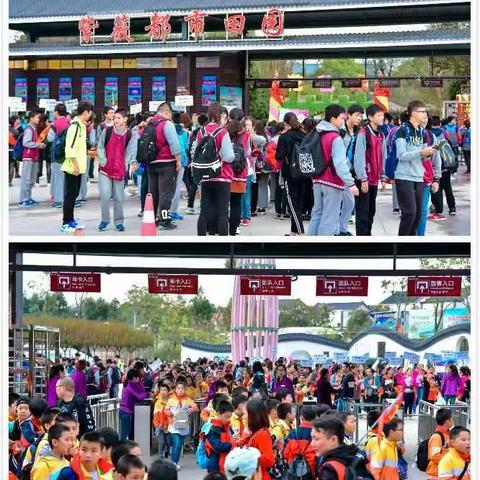 研学旅行紫薇园 最好课堂在路上~紫薇都市田园秋季研学旅行火爆开展