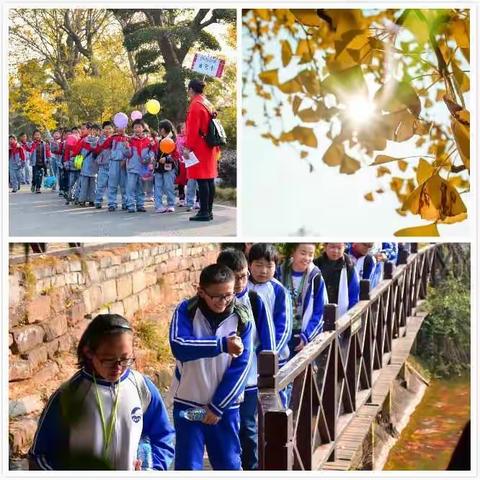 紫薇趣味研学，不一样的生活成长之旅～