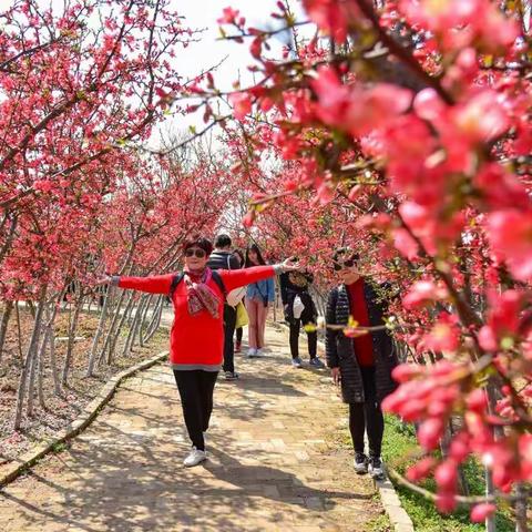 【春暖花开】紫薇都市田园邀您来一场赏花踏青之旅~