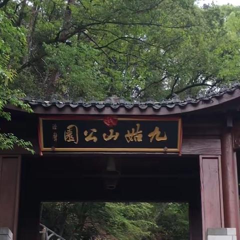 游走龙泉九姑山