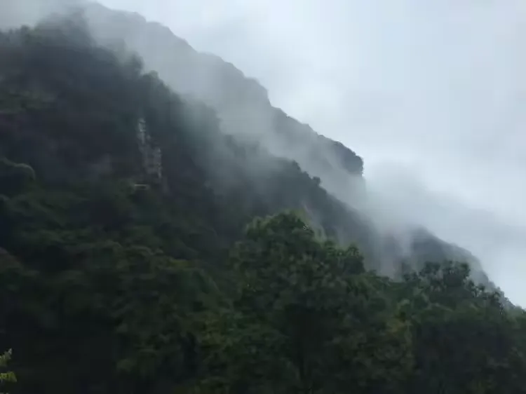【半山烟雨】昨夜雨疏风骤，天明云缦崖秀。友从远方飞来，爱上烟雨山岫。