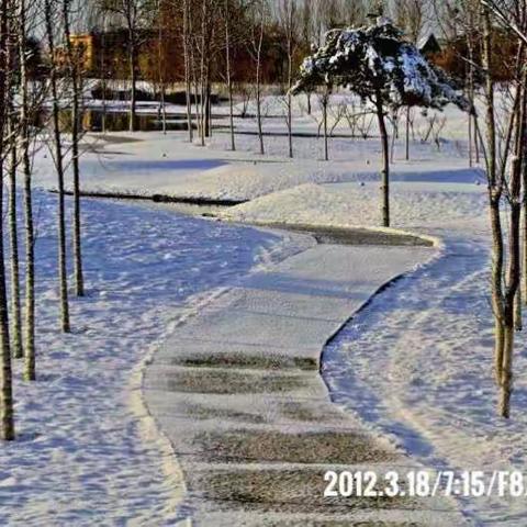 太阳城雪景