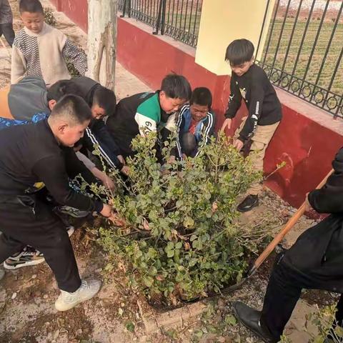 植一株绿植，溢一片春光——许营镇绣衣集小学植树节活动