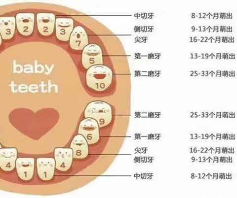 保护牙齿  从小做起