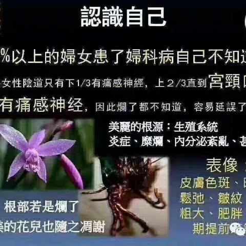 你想做一个健康漂亮的女人吗？