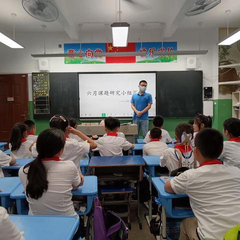 四年一班六月课题研 究小组汇报会