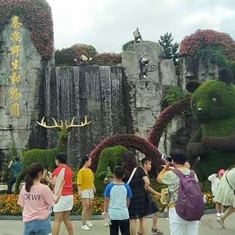 我是池阳小学四年级二班的权佳音，我正在参加池阳小学“爱祖国，微旅行”活动。