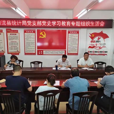 【学党史、悟思想、办实事、开新局】县统计局党支部召开党史学习教育专题组织生活会