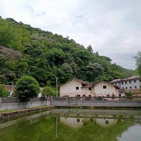 落花听雨的美篇