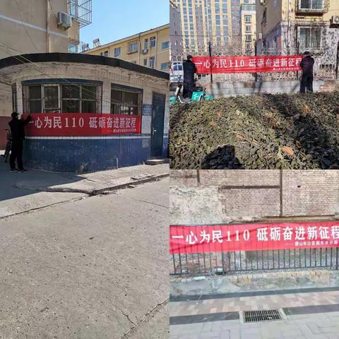 【东水分局】组织开展“110宣传日”活动