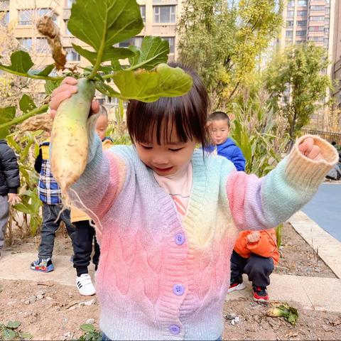 【课程故事】遇见·萝卜——榆次九幼立冬节气故事之一