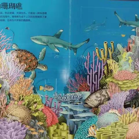 我们的海洋，我们的责任